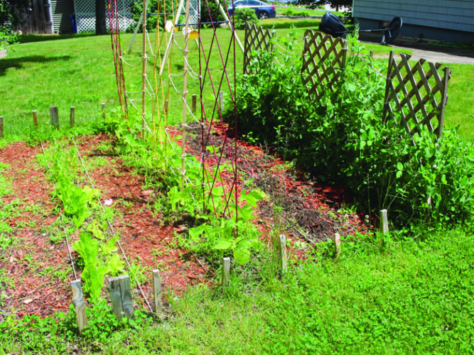 How to Separate Rocks from Dirt and Sow Success Grit